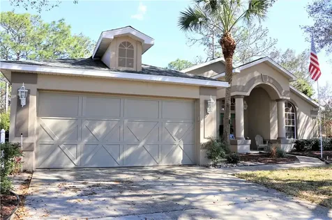 11 Black Willow Court N Homosassa FL 34446