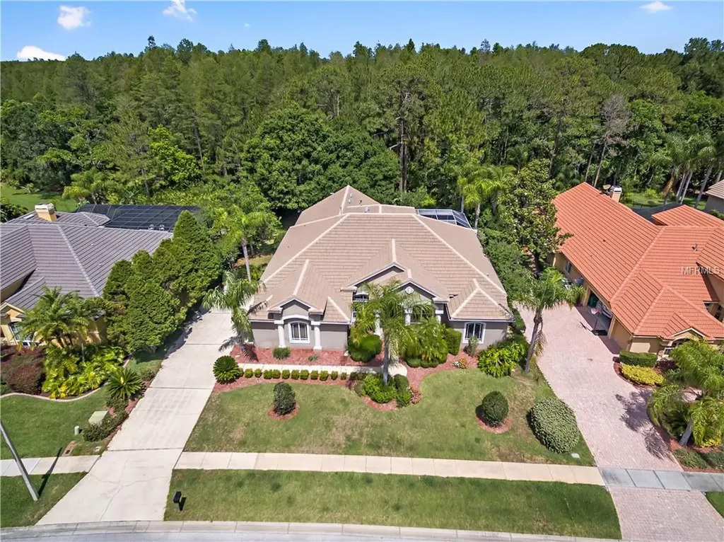 5000 Quill Court Palm Harbor FL 34685