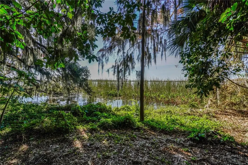 32497 Lakeshore Drive Tavares FL 32778