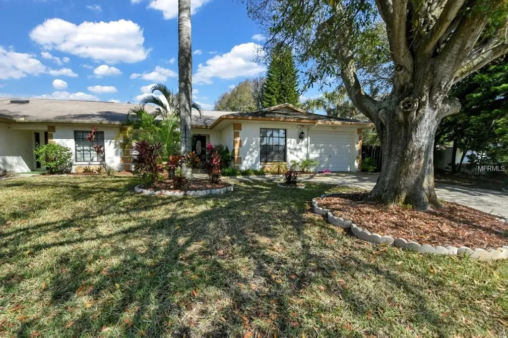 2000 Saginaw Court Oldsmar FL 34677
