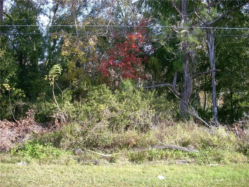 784 Del Prado Drive Kissimmee FL 34758