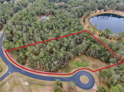 39713 Woodgate Lane Lady Lake FL 32159