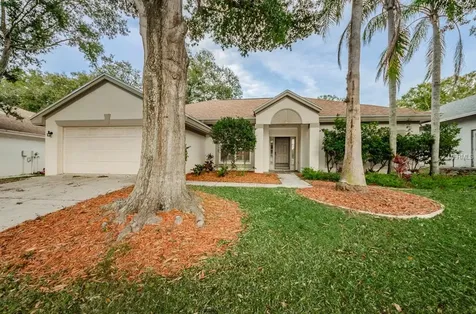 3069 Regal Oaks Boulevard Palm Harbor FL 34684