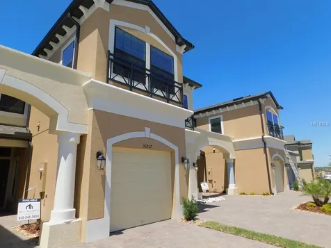 30017 Southwell Lane Wesley Chapel FL 33543