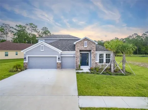 27266 Hawks Nest Circle Wesley Chapel FL 33544
