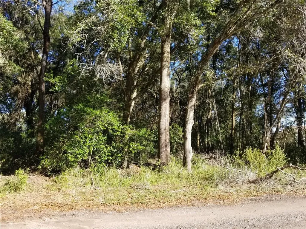 11648 Bessie Dix Road Seffner FL 33584