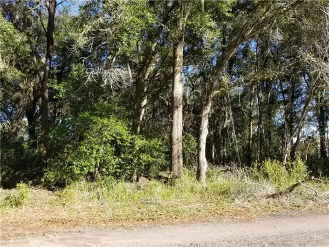 11648 Bessie Dix Road Seffner FL 33584