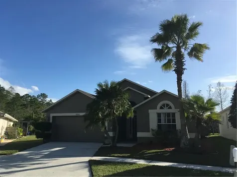 14306 Moon Flower Drive Tampa FL 33626