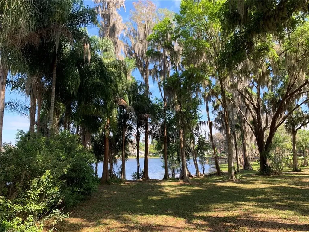 17920 Burnside Road Lutz FL 33548