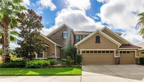 10519 Mistflower Lane Tampa FL 33647
