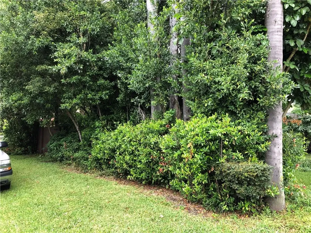 2517 W Hiawatha Street Tampa FL 33614