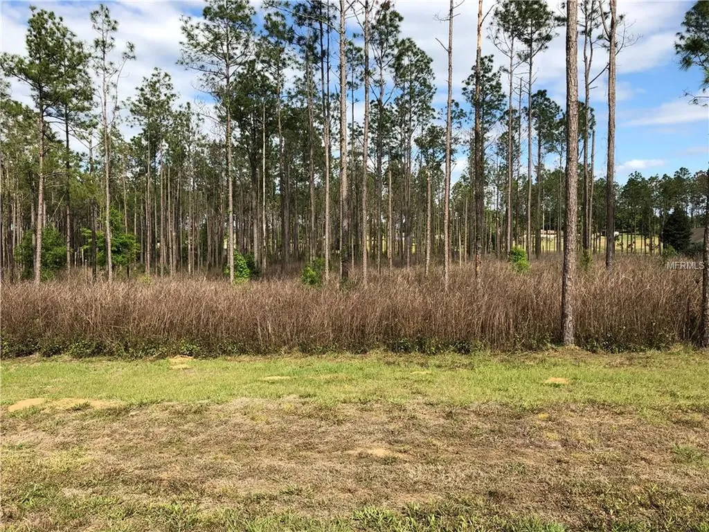 17712 Country Squire Lane Dade City FL 33523