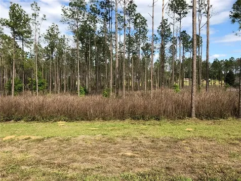 17712 Country Squire Lane Dade City FL 33523