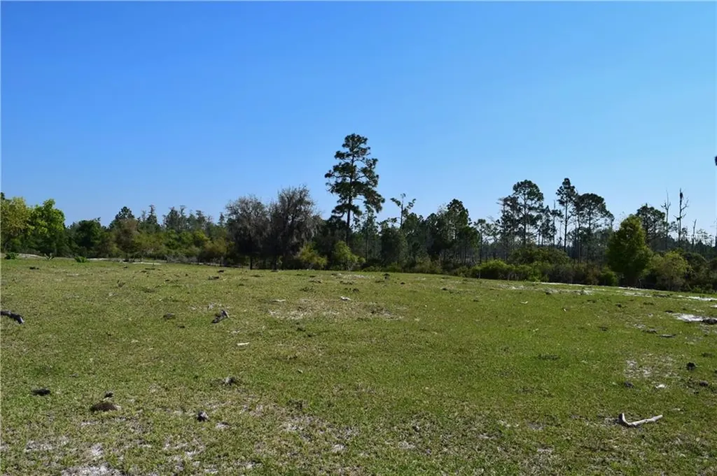 468 Black Lake Road Osteen FL 32764