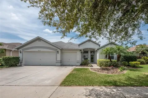 6019 Palomaglade Drive Lithia FL 33547