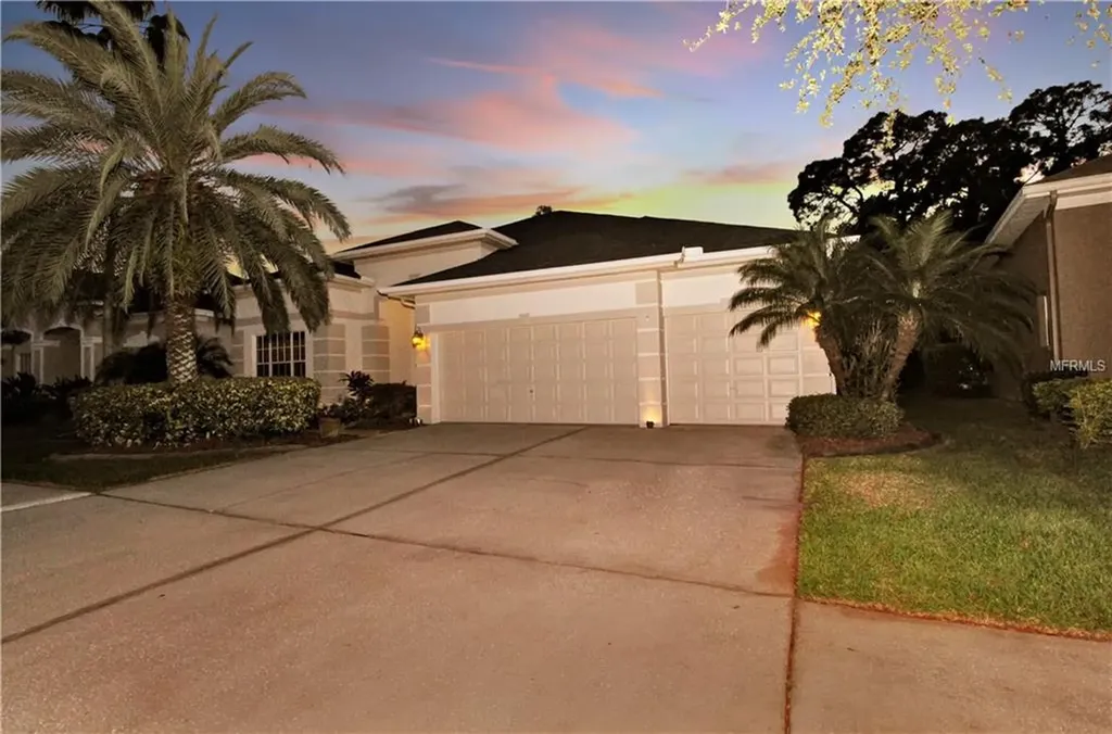 10719 Tavistock Drive Tampa FL 33626