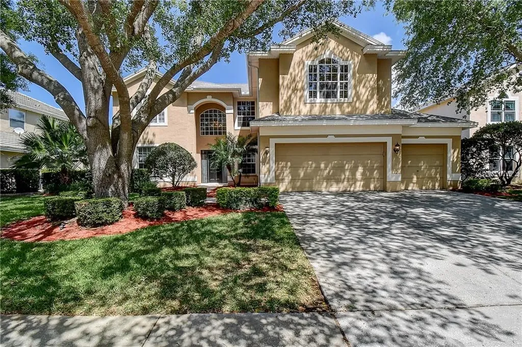 4655 Aylesford Drive Palm Harbor FL 34685