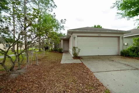10415 Isleworth Avenue Tampa FL 33647
