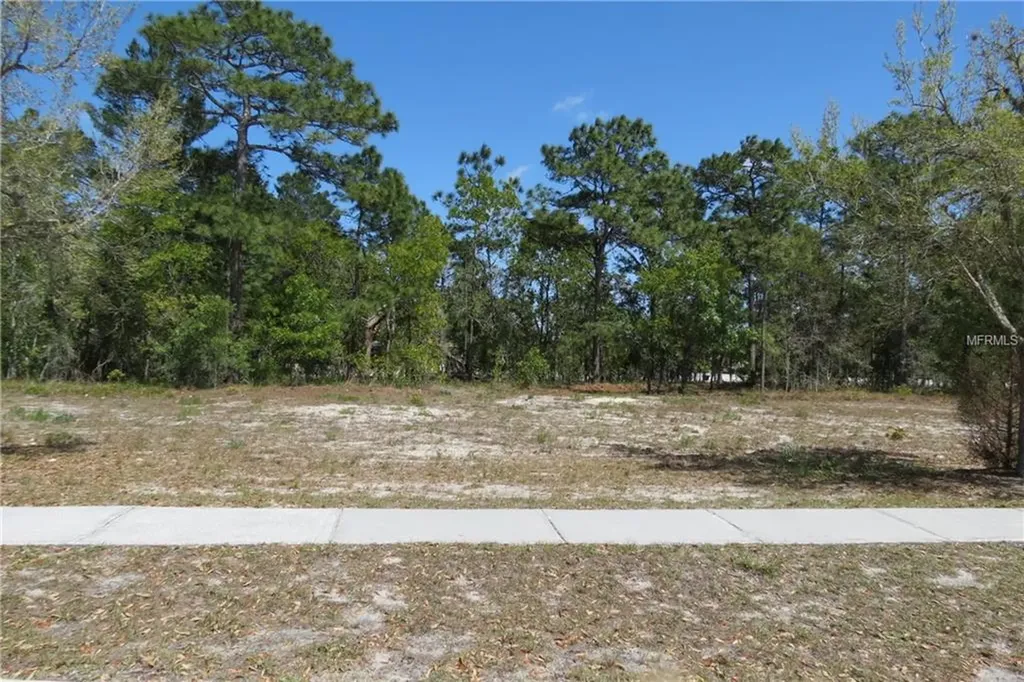 364 Storybook Lane Spring Hill FL 34609