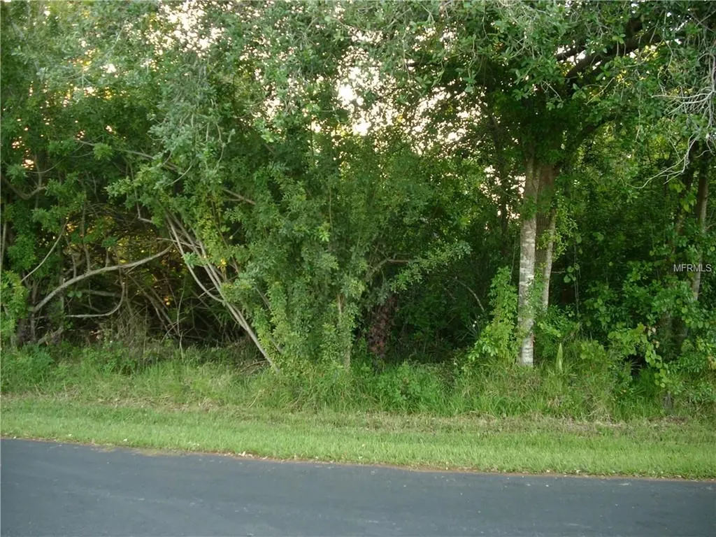 212 Chadworth Drive Kissimmee FL 34758