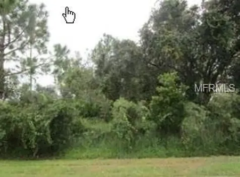 1130 Lavaur Court Kissimmee FL 34759
