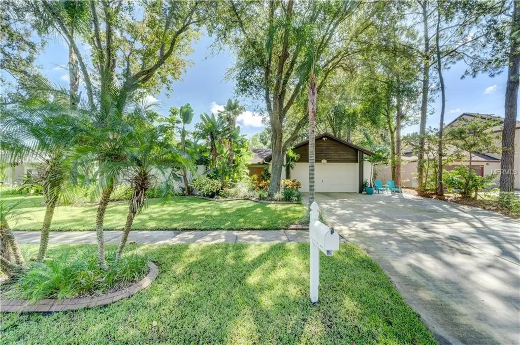 3213 Taragrove Drive Tampa FL 33618
