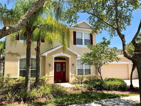 16159 Colchester Palms Drive Tampa FL 33647