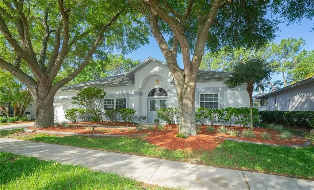 9533 Norchester Circle Tampa FL 33647
