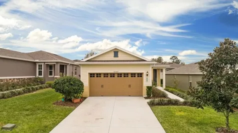 30543 Lipizzan Terrace Mount Dora FL 32757