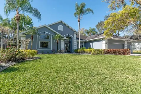 4538 Glenbrook Drive Palm Harbor FL 34683