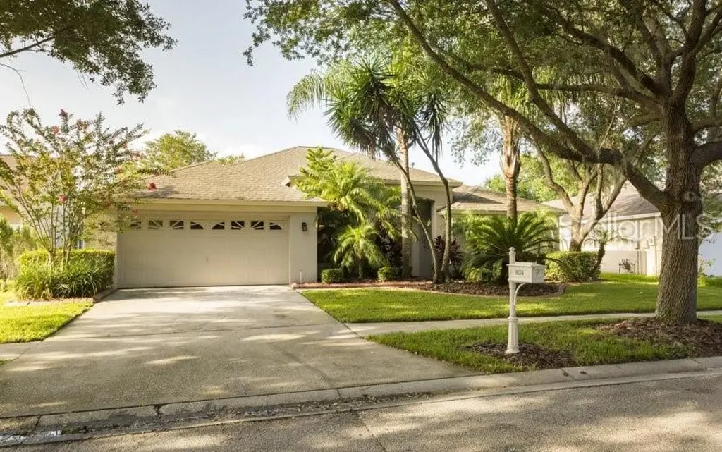 10238 Timberland Point Drive Tampa FL 33647