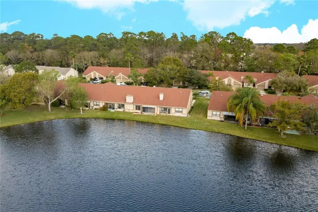 3966 Mermoor Drive Palm Harbor FL 34685
