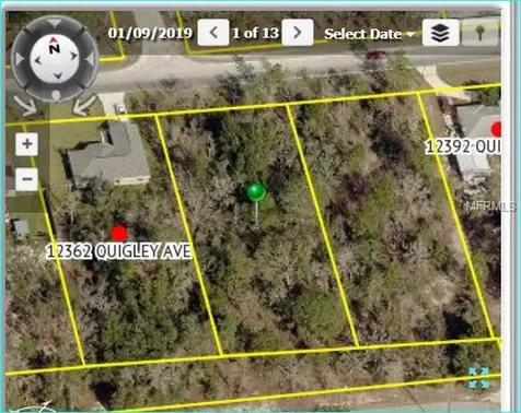 12372 Quigley Avenue Weeki Wachee FL 34614