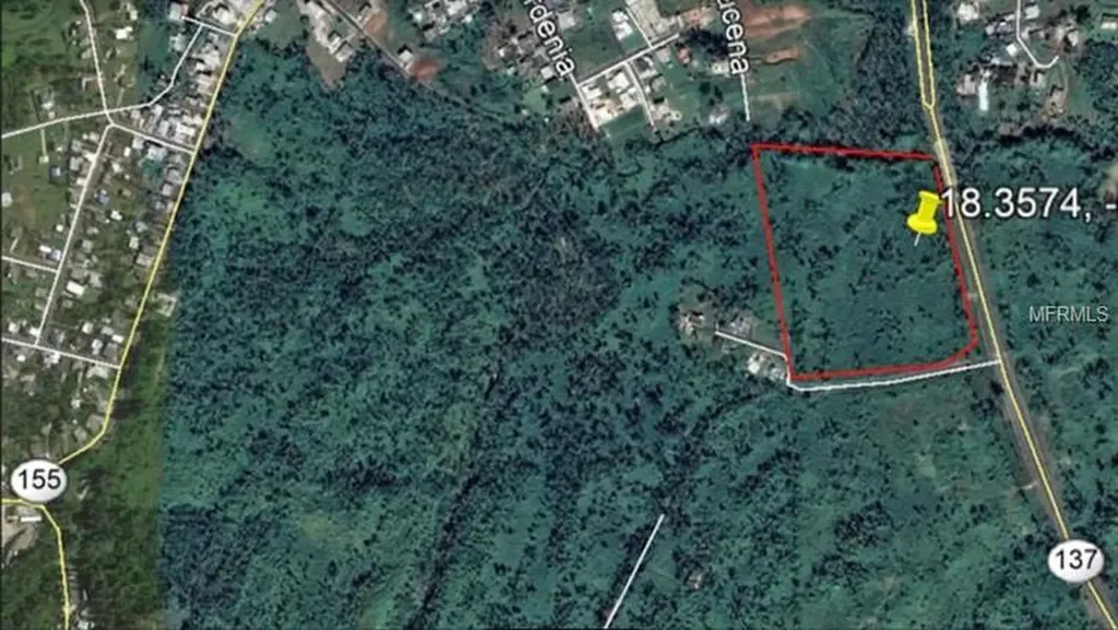 PR137 Morovis PR 00687