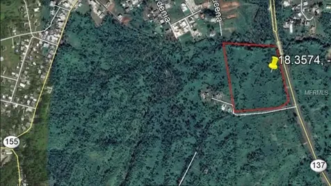 PR137 Morovis PR 00687