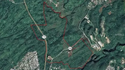 137 Pr Morovis PR 00687
