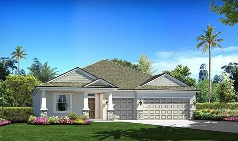 11964 Cinnamon Fern Drive Riverview FL 33579