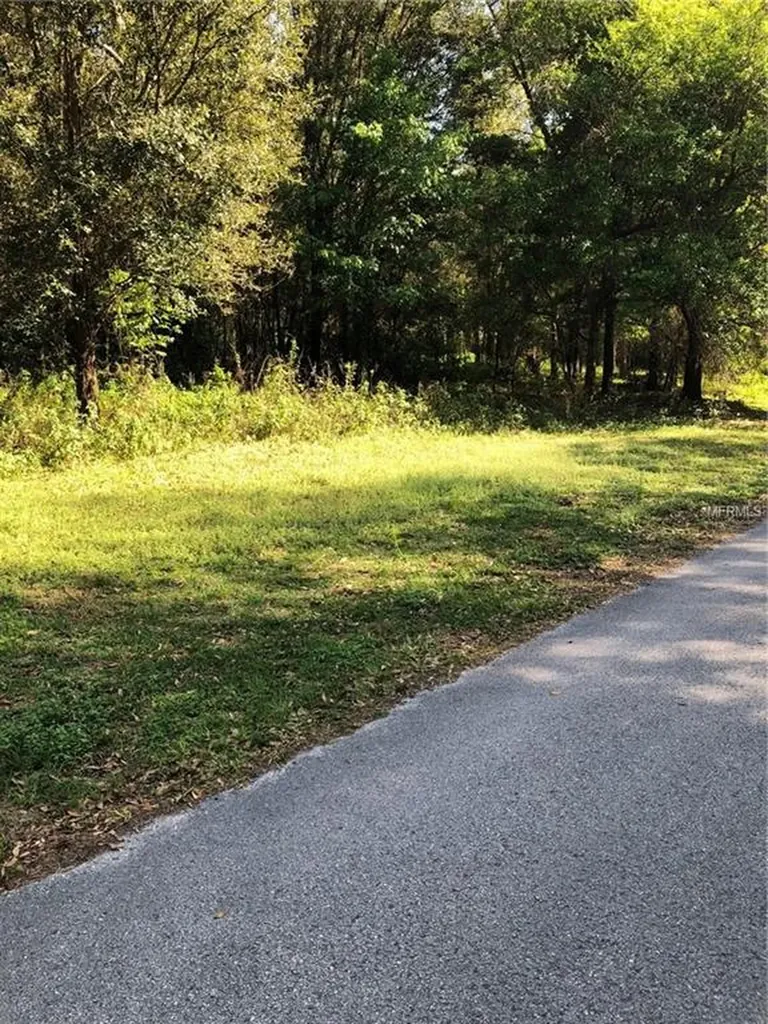 624 Savannah Oaks Drive Brooksville FL 34602