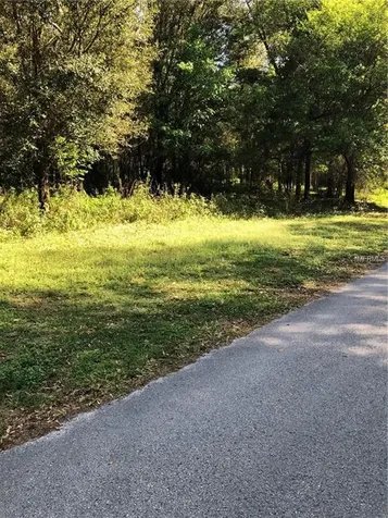 624 Savannah Oaks Drive Brooksville FL 34602