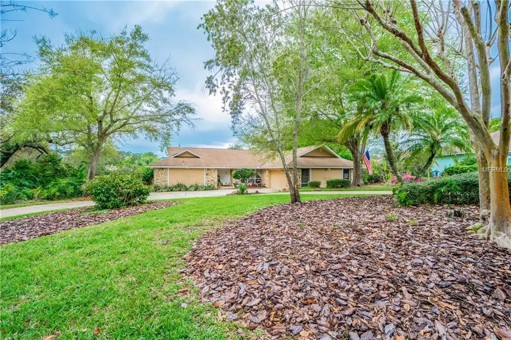 3246 Autumn Drive Palm Harbor FL 34683