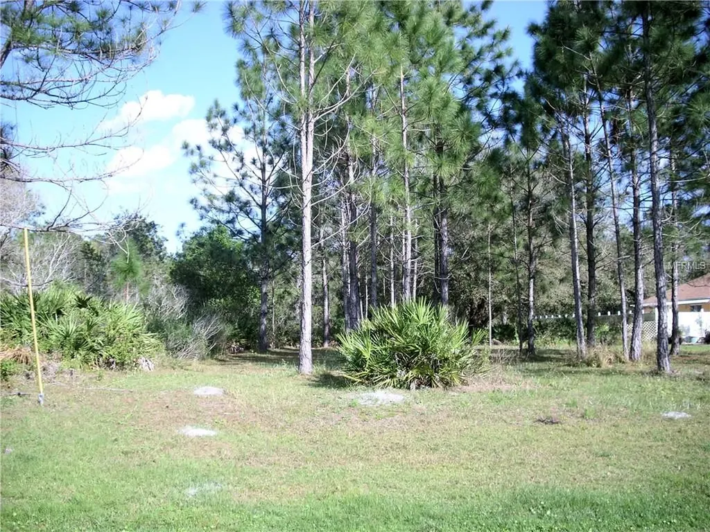 1360 Dunbarton Court Kissimmee FL 34758