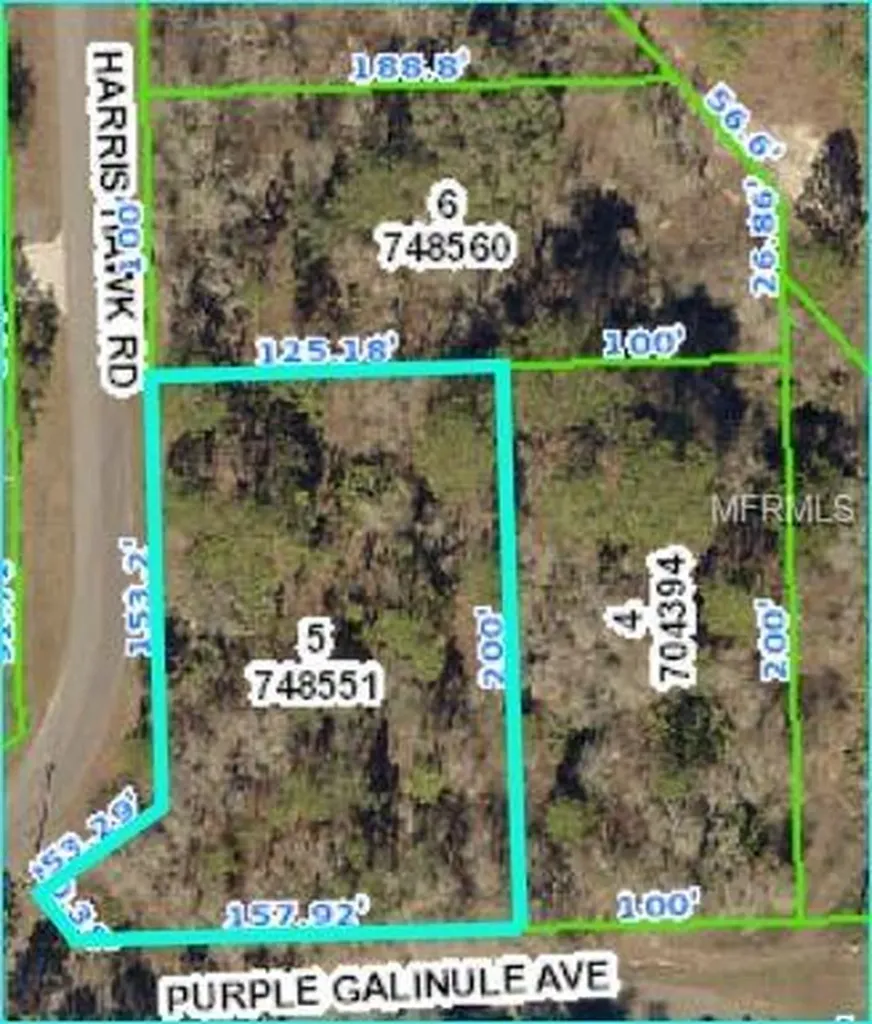 12259 Purple Galinule Avenue Weeki Wachee FL 34614