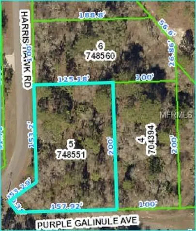 12259 Purple Galinule Avenue Weeki Wachee FL 34614