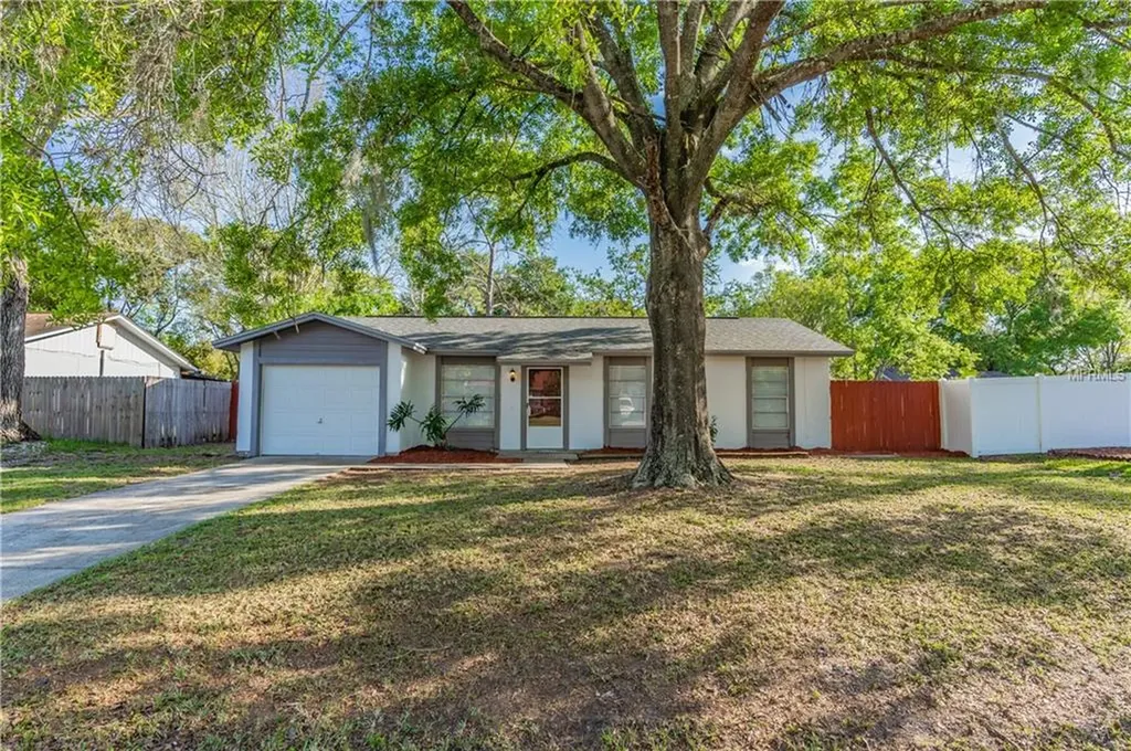 22630 Newfield Court Land O Lakes FL 34639