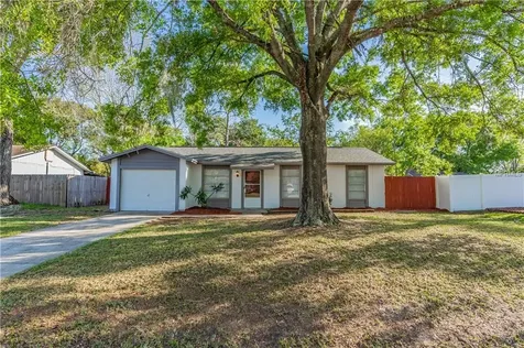 22630 Newfield Court Land O Lakes FL 34639