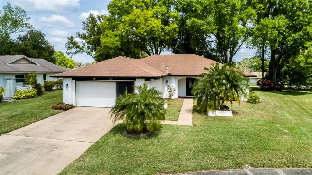 3037 Gregor Court Palm Harbor FL 34684
