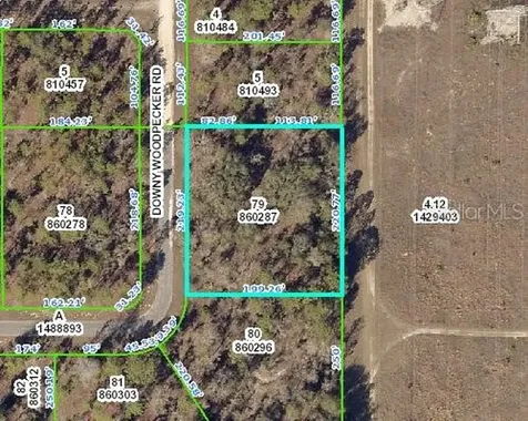 13430 Downy Woodpecker Road Weeki Wachee FL 34614