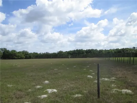 1182 Cr 738 Webster FL 33597