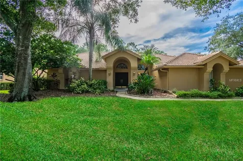 17818 Grey Brooke Drive Tampa FL 33647