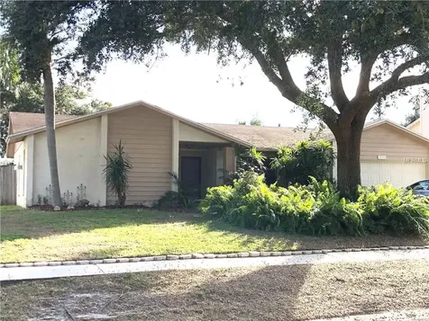 1313 Corner Oaks Drive Brandon FL 33510